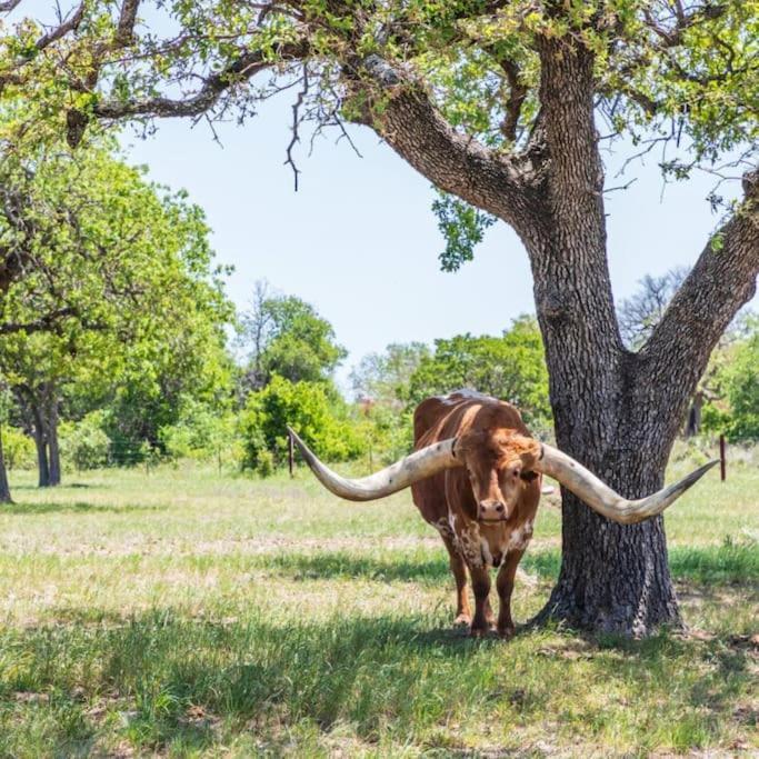 A Rare Find! - Bright & Gorgeous Lake Home In Marble Falls Exterior photo